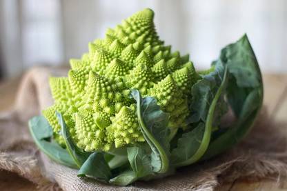 WILLVINE SYN -XVI ROMANESCO Broccoli Broccoflower [25g] Seed