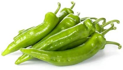 granthi Green Chilli(Hari Mirch) / हरी मिर्च Seed
