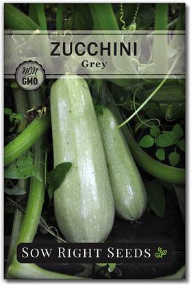 VibeX ATS-16 - Grey Zucchini - (225 Seeds) Seed