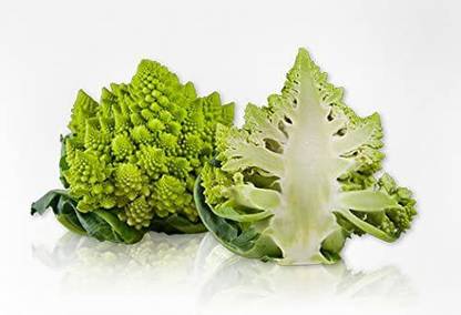 WILLVINE VVI-601 Organic Romanesco Broccoli Seed Seed