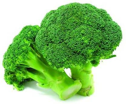 CYBEXIS VVI-21 - Broccoli (Exotic Vegetable ) - (150 Seeds) Seed