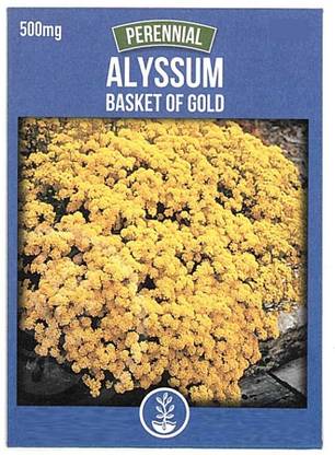 Biosnyg Yellow Alyssum Seeds-[50 Seeds] Seed