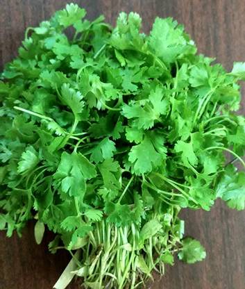 CHILLATAI Dhaniya / Kothimbir 50G Seed