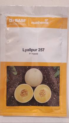SAPTHAGIRI Muskmelon Seed