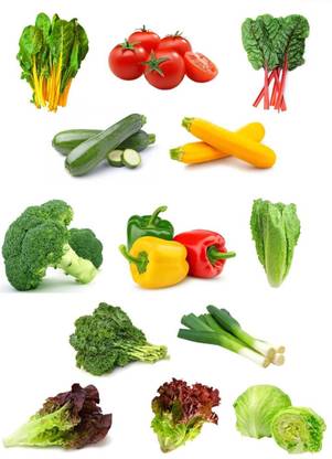 CRGO Exotic Vegetables Seeds Combo | 15 Varieties | 4000+ Seeds Seed