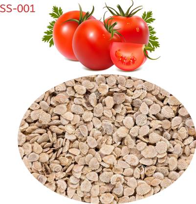 shantiseeds Tomato F3 Hybrid Seed