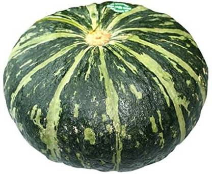 Aywal Pumpkin Kaddu F1 Hybrid Seed