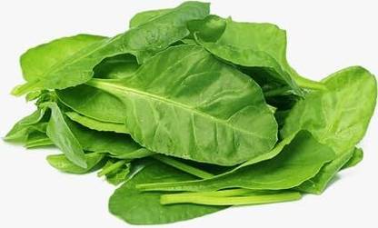 ASPEN Pasalai Keerai | Palak | Palak Spinach Seed