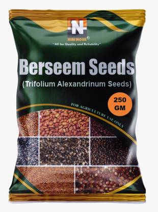 Numinous Berseem, Trifolium Alexandrinum, Egyptian clover, Multi Cut Grass, King of Fodder Grass Seed