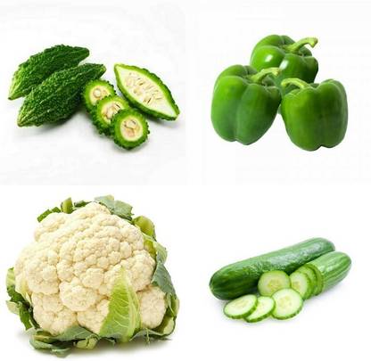 SimXotic Combo of Capsicum Green, Cauliflower, Cucumber & Bitter Gourd (GMO-FREE) Seed