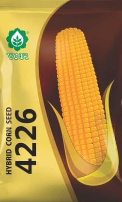 VNR HYBRID MAKKA YSEEDS MAKA SEEDS Seed