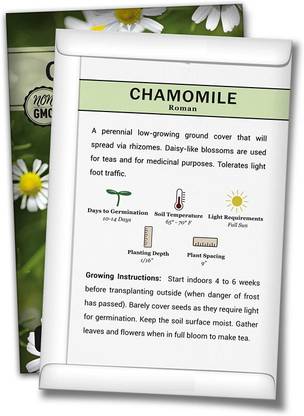 Biosnyg XCO-49 Roman Chamomile-[200 Seeds] Seed