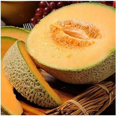PLUSGREEN Musk Melon/ Cantaloupe/ Hami melon Seed
