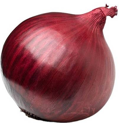XOLDA Red Onion Vegetable Seed