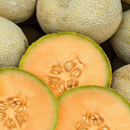 Biosnyg Cantaloupe Musk Melon Garden Seeds-[200 Seeds] Seed