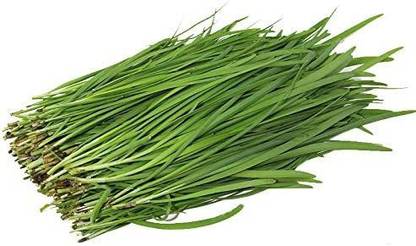 VibeX KGF -88 - Allium tuberosum Oriental Garlic Asian Chives - (750 Seeds) Seed