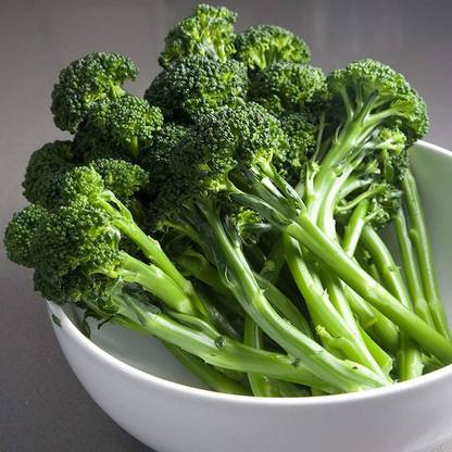 VibeX ® LXI-463 Artwork Hybrid Broccoli Seeds Seed
