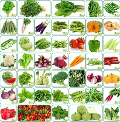 HYBRID All vagitable seeds 20+ variety highest yield Seed