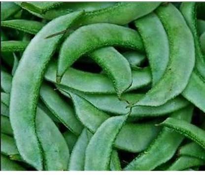 Aywal SEM PHALI DOLICHOS BEANS F1 HYBRID Vegetable Seed
