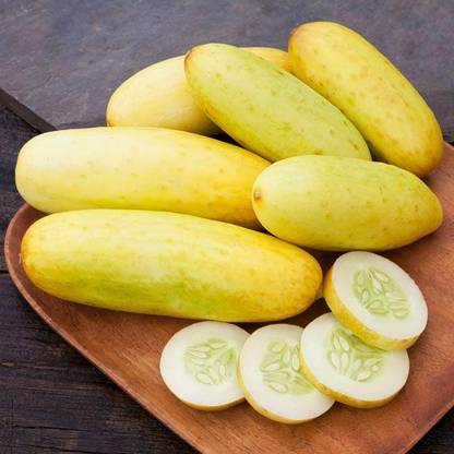 WHYGI POONA KHEERA CUCUMBER SEED-CuC_1096 Seed