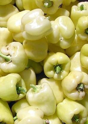 Aro White Capsicum, Capsicum, Bell Pepper Seed