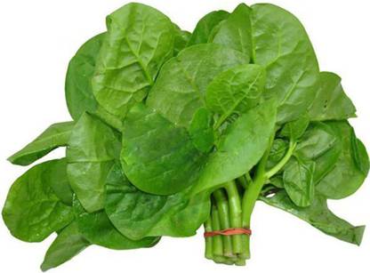 CYBEXIS HUA-48 - Malabar Spinach - (250 Seeds) Seed