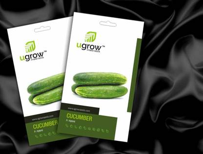GARDENIFY INDIA FRESH CUCUMBER SEEDS & PLANT FARM FRESH QUALITY Seed