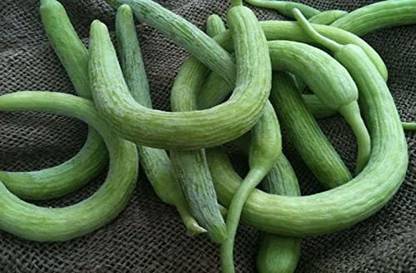 VibeX ® RXI-52 Hybrid Thin Long Cuccumber Seeds Long Melon Seed