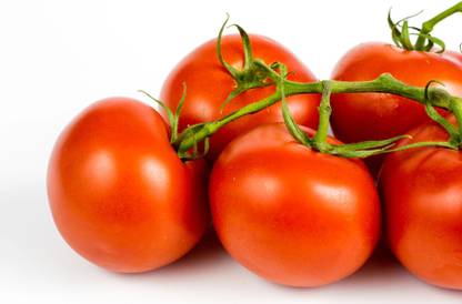VRAKSHA ACE 55 VF TOMATO Seed