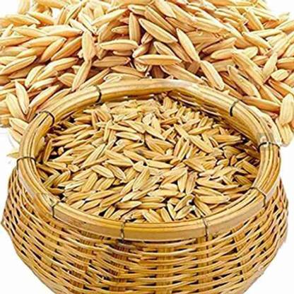 SREE Basmati Paddy, Basmati Rice Seed-1109 for Farming & Agricalture, Basmati Seed