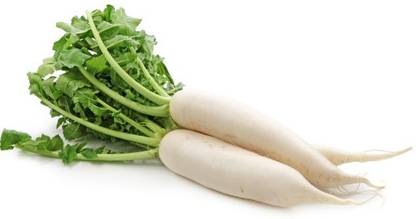 hussn Radish Vegetable Seed