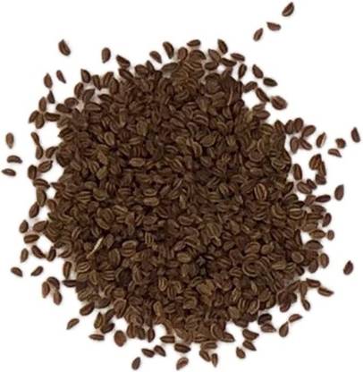 CYBEXIS VXI-70 - Celery Tall Utah - (250 Seeds) Seed