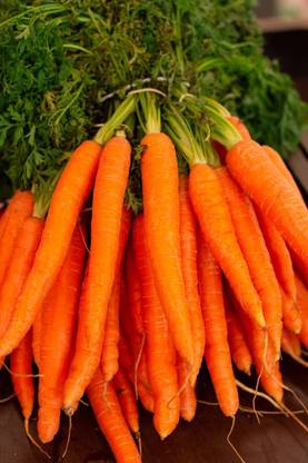 Aywal Carrot Hybrid Vegetable Seed