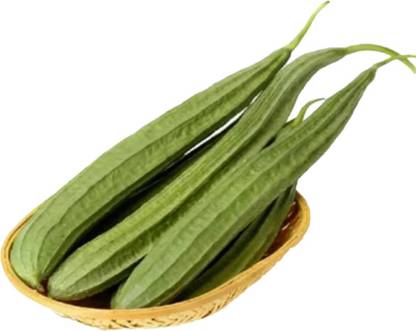 DHENU PRASAD 2038 F1 Hybrid Ridge gourd (turai) Seed