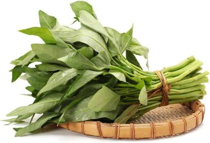CYBEXIS GBPUT-78 - Water Spinach - (750 Seeds) Seed
