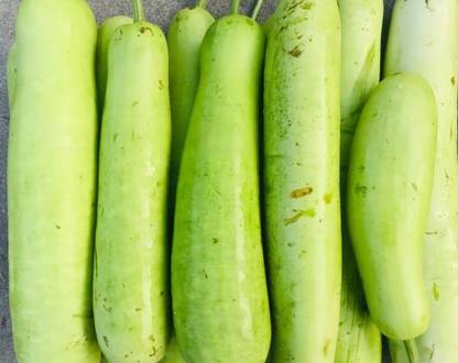 ASHOKE Seeds Bottle Gourd Seeds Lauki Seeds Desi Loki Seed