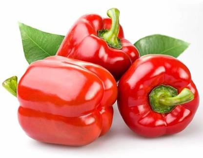 VibeX ® VXI-157 Capsicum/bellpepper Red Wonder Seed