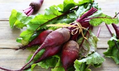 CEZIUS Easy to Grow Beetroot 'Cylindra'-a16H Seed