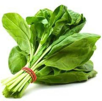KANAYA Amaranthus Leaf Cholai Green Saag Seed
