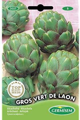 CYBEXIS Vert de Laon Artichoke Seeds200 Seeds Seed