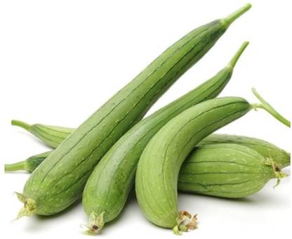 Avysa Sponge Gourd Seeds Seed
