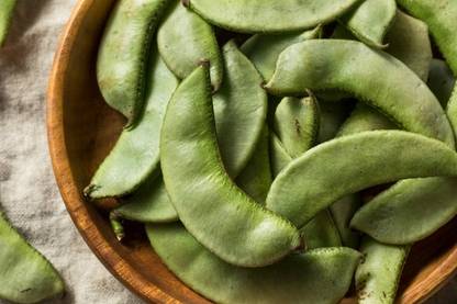 WATIKA Sem Beans सेम की फली Seed