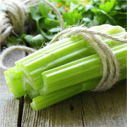 VibeX HUA-31 - Utah 52-70 Celery (Apium graveolens) - (250 Seeds) Seed