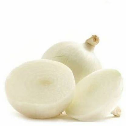 Mozette Organic Onion white Seed
