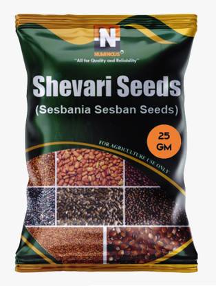 Numinous Shevri, Shevari, Sesbania Sesban, Fodder Tree Seeds Seed