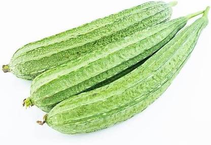 CYBEXIS PUAS-94 - Ridge Gourd Turai - (100 Seeds) Seed