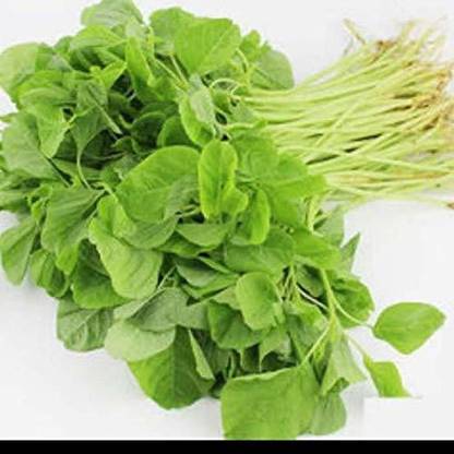 KANAYA Cholai Saag Seed