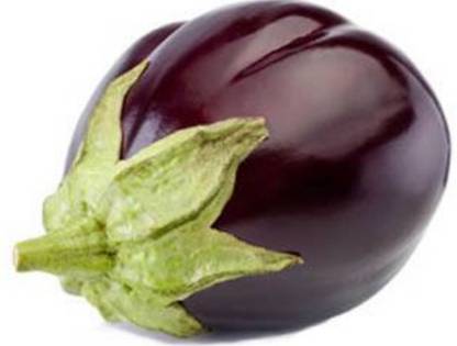 MegaValue Organic brinjal Seed