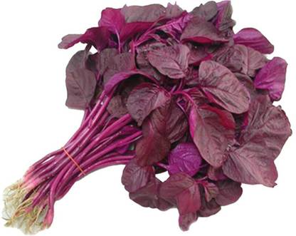 Quentova Amaranthus Red-KTK-5B Seed