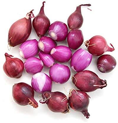 MKR Enterprises Pyaaj Seed